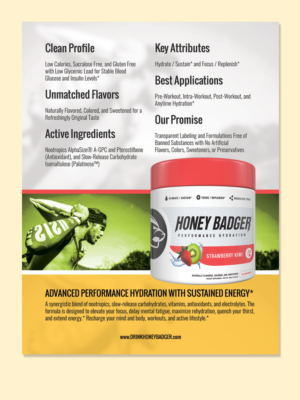 Diseño de Brochure por LeonFX para Honey Badger, LLC | Diseño: #16022925