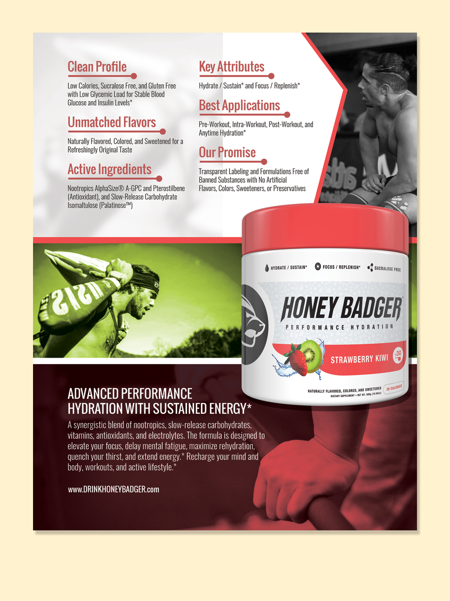 Design de Brochure par LeonFX pour Honey Badger, LLC | Design #16037443
