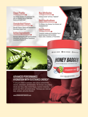 Diseño de Brochure por LeonFX para Honey Badger, LLC | Diseño: #16037443