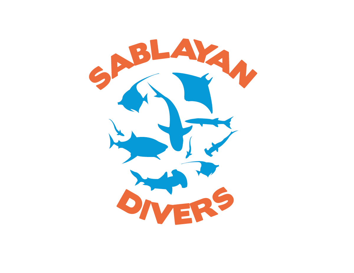 Logo Design by anmiza.cm for this project | Design #16248617