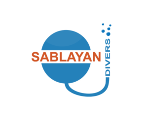 Logo-Design von BassamMuhajjar für dieses Projekt | Design #16280885