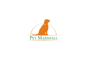 Design de Logo par Aqeel Momin pour ce projet | Design : #16051994