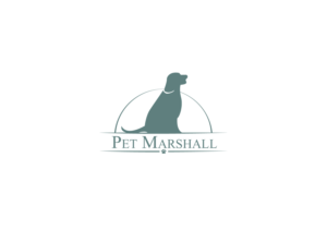 Design de Logo par Aqeel Momin pour ce projet | Design : #16051998