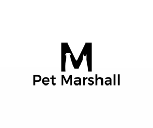 Diseño de Logo por lasri para este proyecto | Diseño #16019615