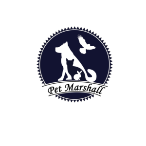 Logo Design by Asmita 3
