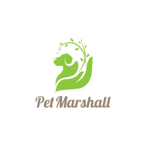 Logo Design by ReDoDesigns for this project | Design: #16037101