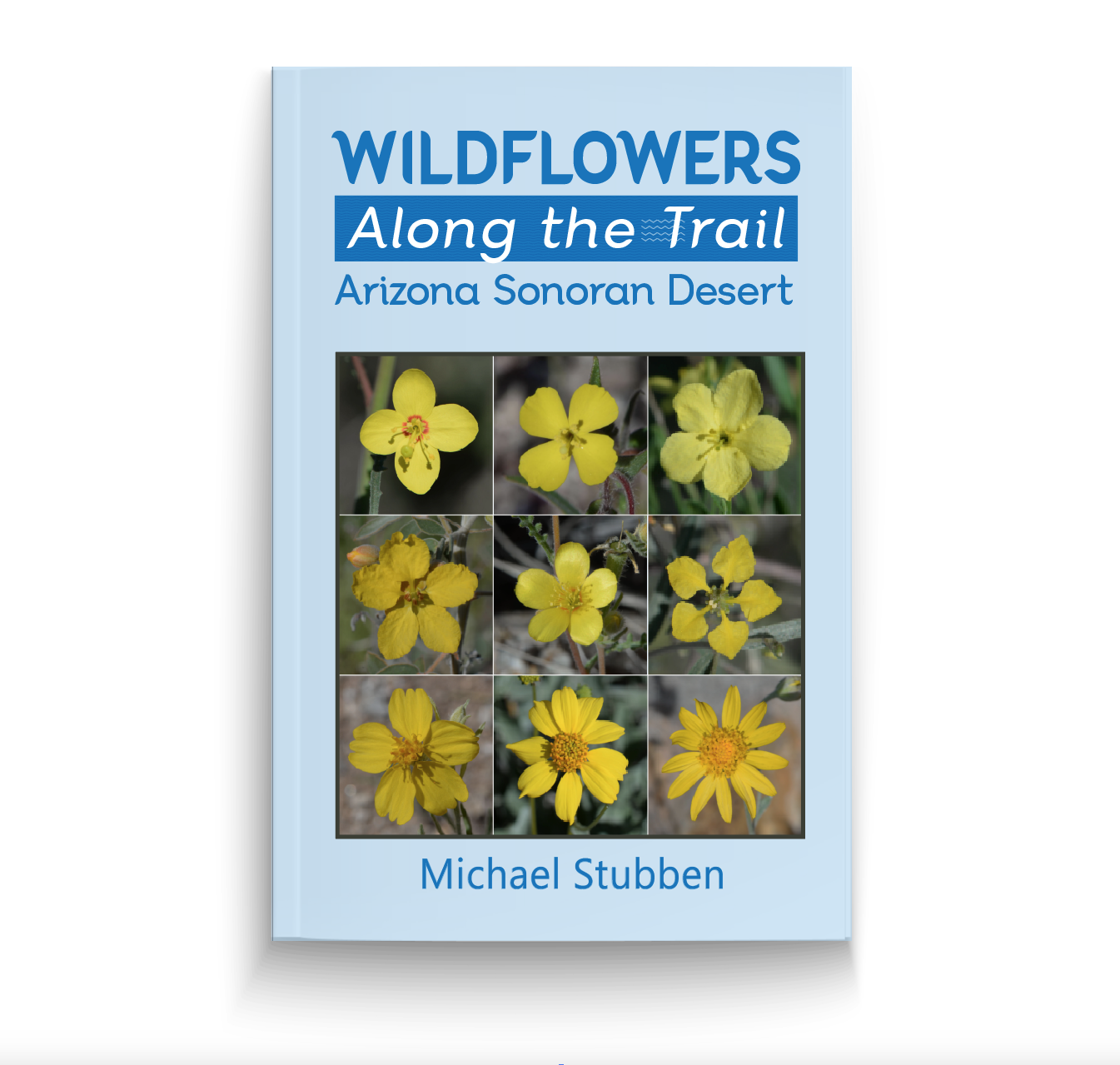 Book Cover Design by aneela for this project | Design #16038891