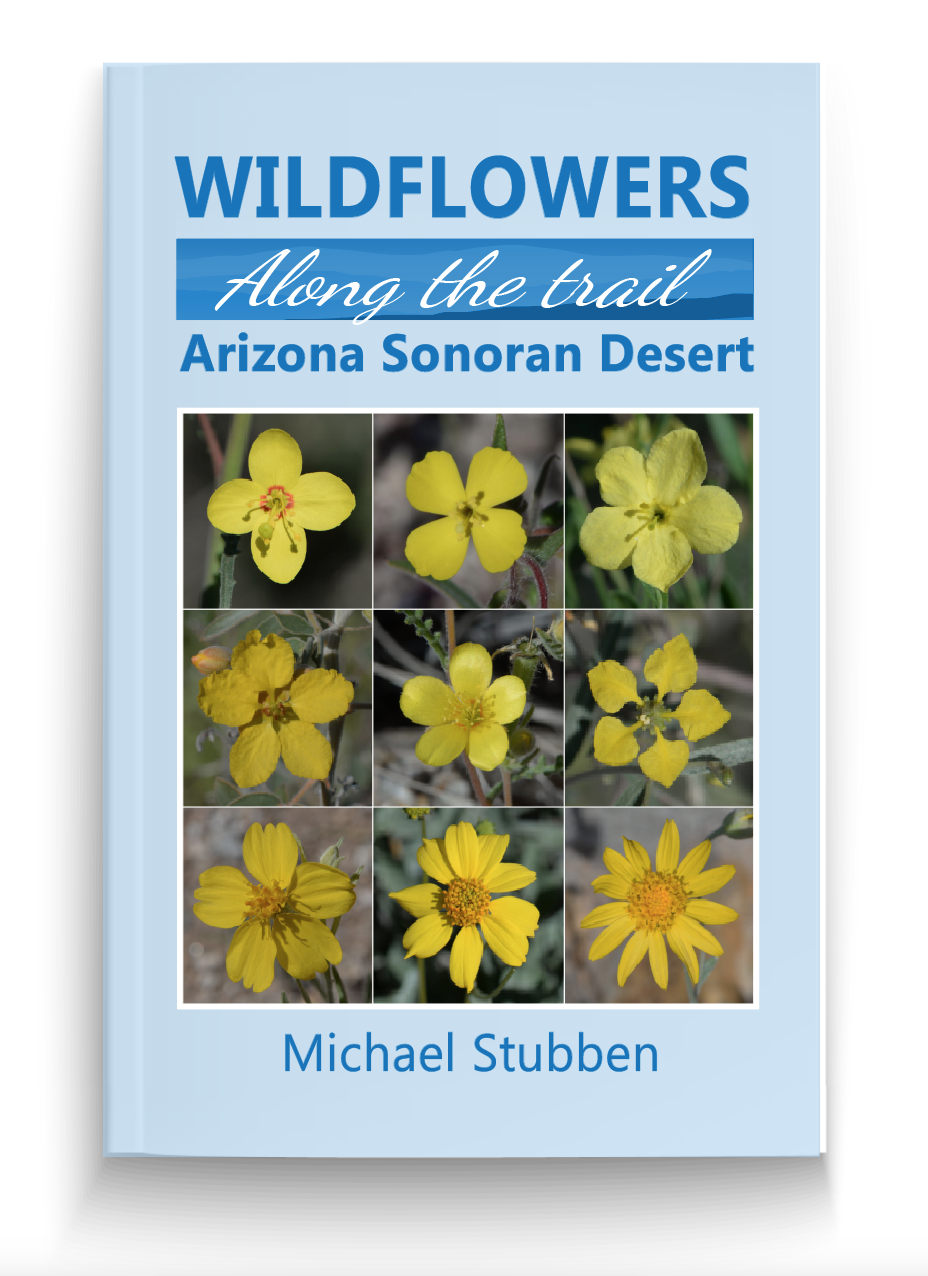 Book Cover Design by aneela for this project | Design #16039625