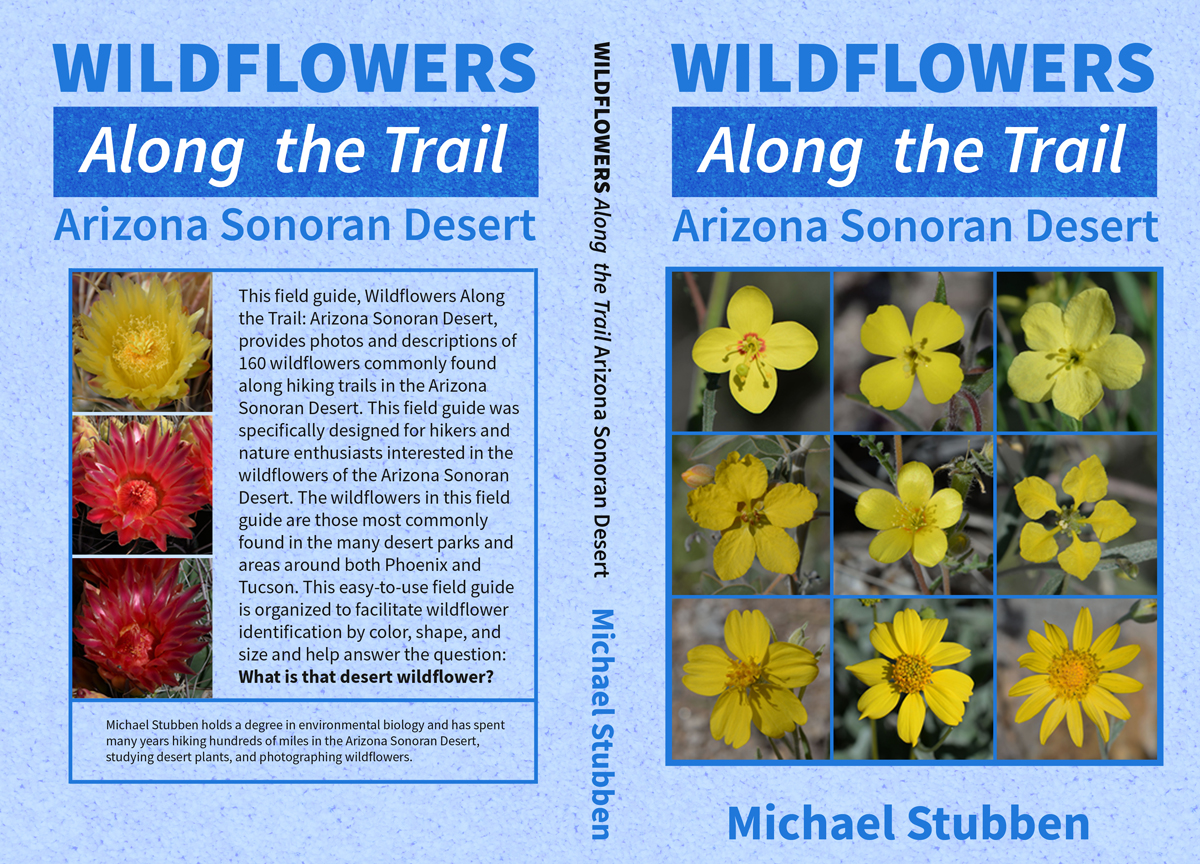 Book Cover Design by Gfx.26™ for this project | Design #16029157