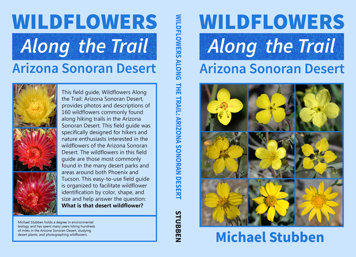 Book Cover Design by Gfx.26™ for this project | Design #16050226