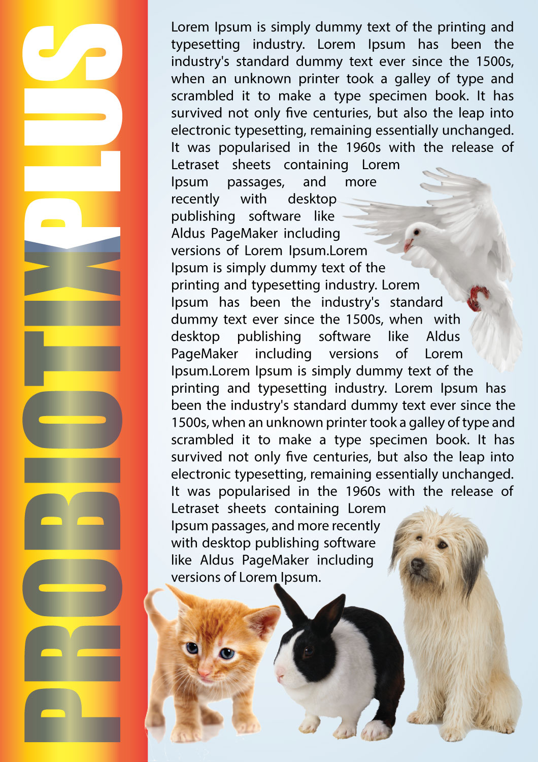 Brochure Design by HAMDIYA for Wildlife & Veterinary Supplies | Design #16114611