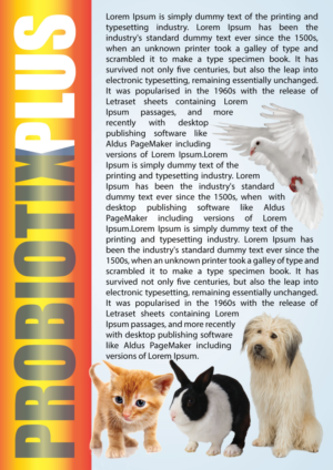 Broschüren-Design von HAMDIYA für Wildlife & Veterinary Supplies | Design: #16114611