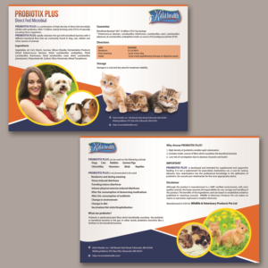 Brochure Design by Schöpfer