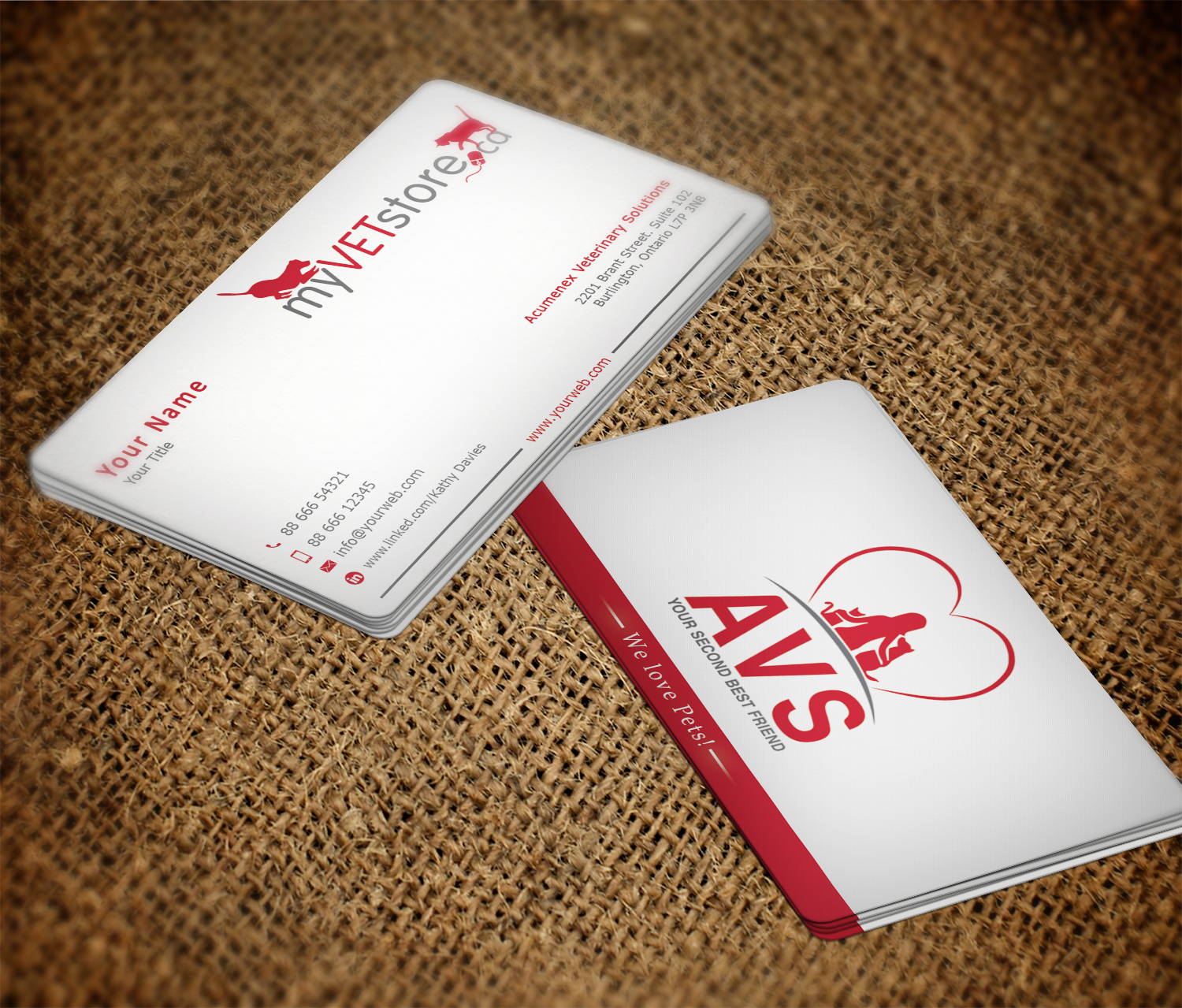 Business Card Design by Imagine Box for Acumenex Veterinary Solutions | Design #16054630