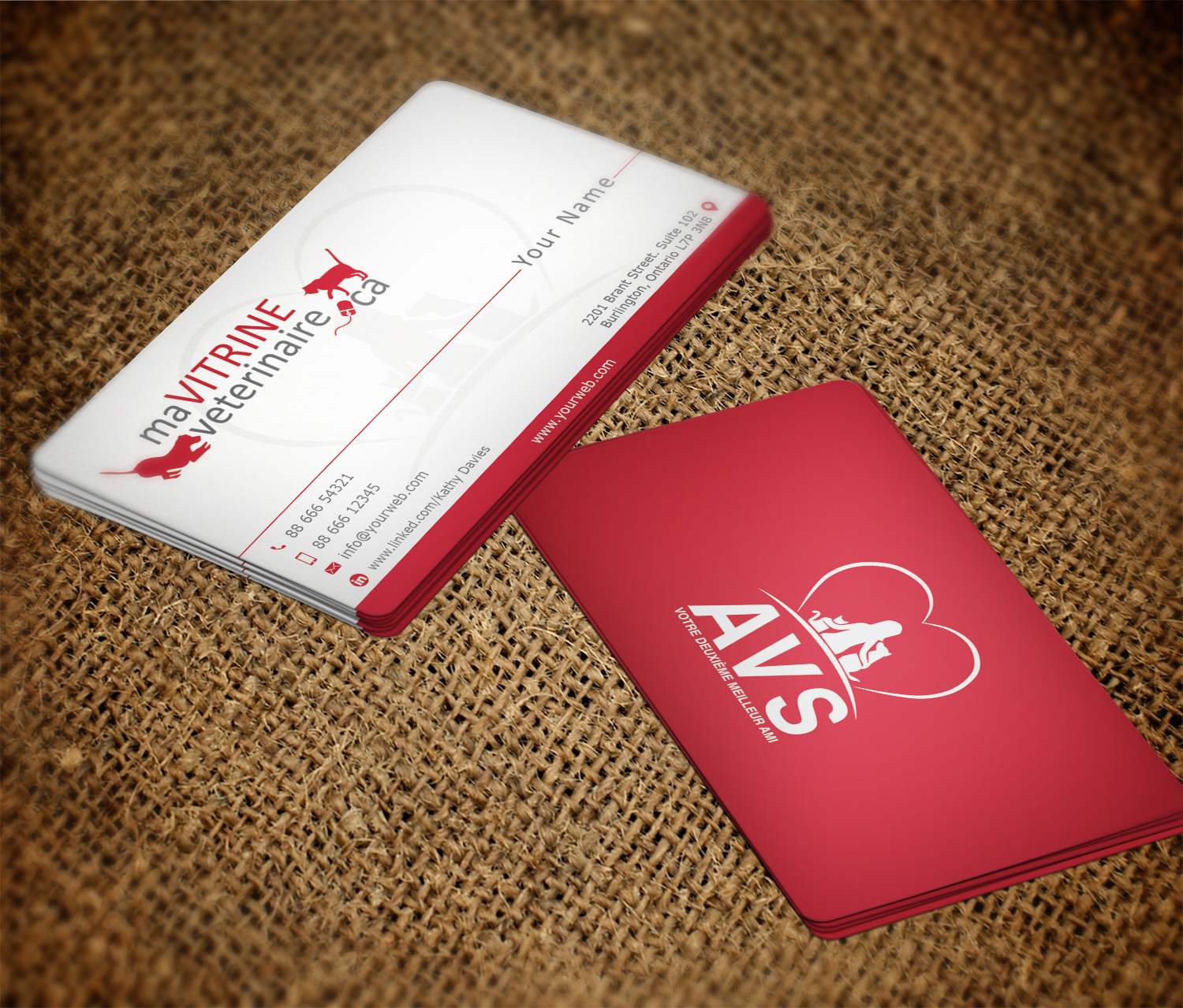 Business Card Design by Imagine Box for Acumenex Veterinary Solutions | Design #16180854