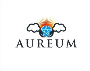Diseño de Logo por nutu para este proyecto | Diseño: #16055822