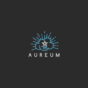 Diseño de Logo por ecorokerz para este proyecto | Diseño #16043054