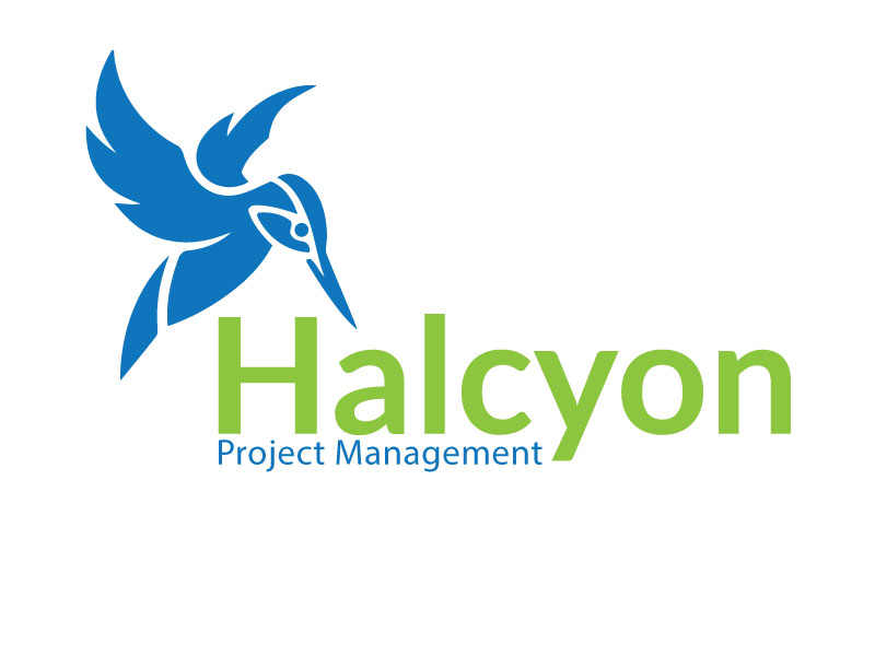 Modern, Bold, Construction Logo Design for Halcyon Project Management ...