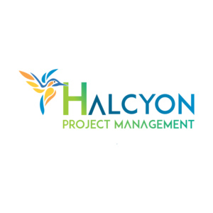 Logo Design by Costea Dan