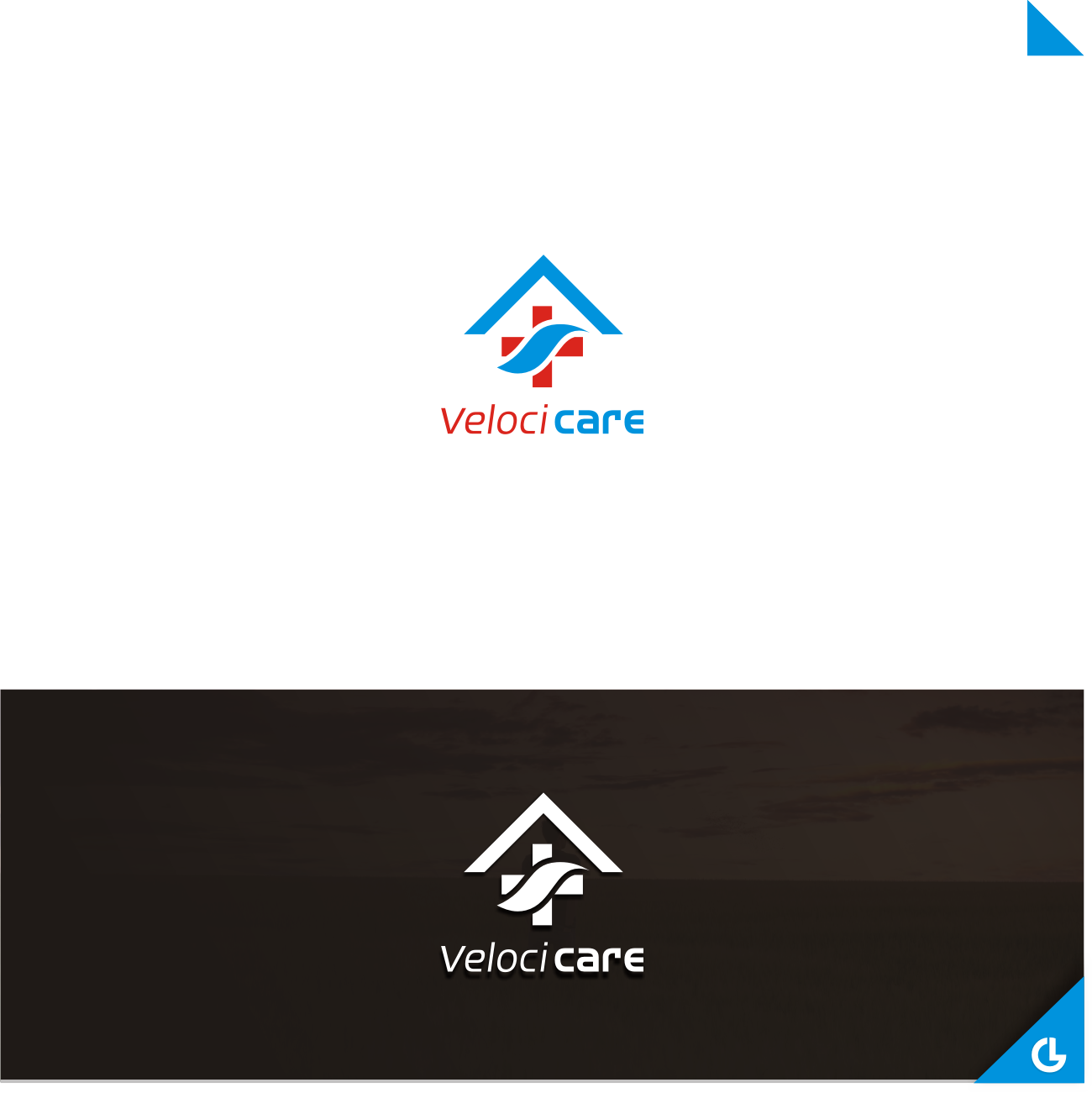 Logo Design by R!CKY for Velocicare | Design #16055780