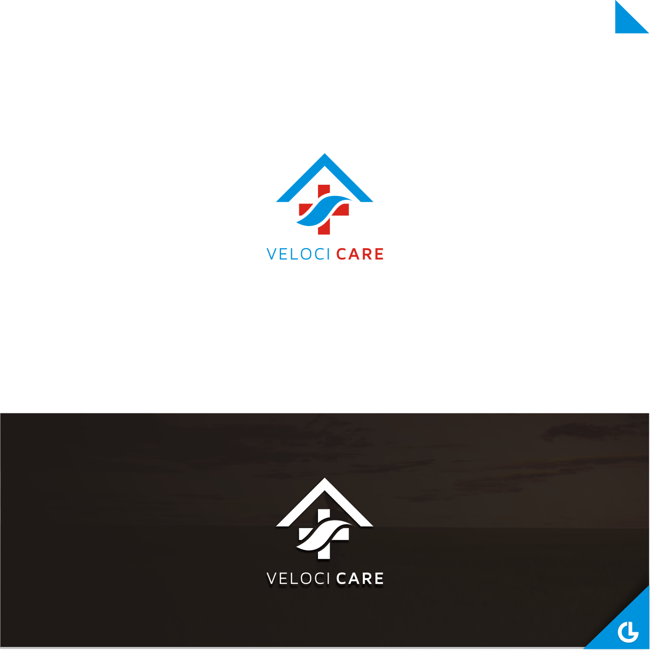 Logo Design by RICKY.T for Velocicare | Design #16067670