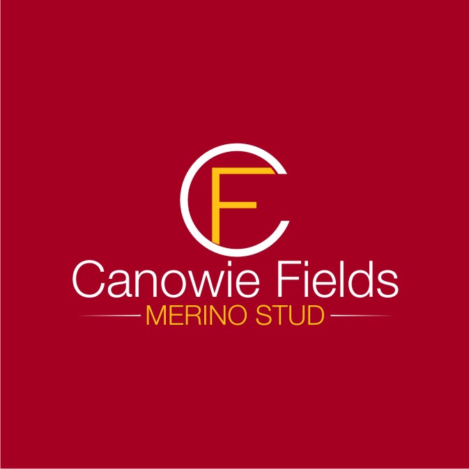 Logo Design by nutu for this project | Design #16075005