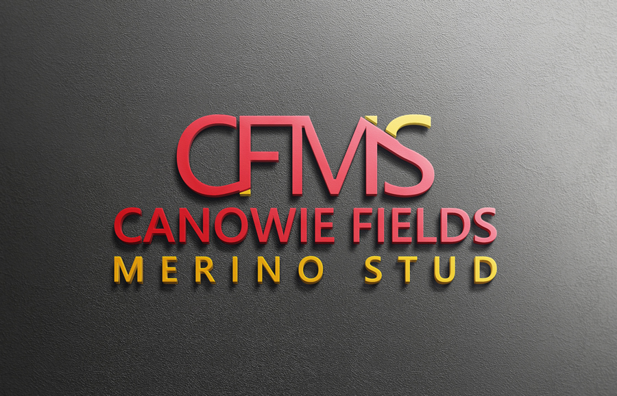 Logo Design by Top king  designer for this project | Design #16087084