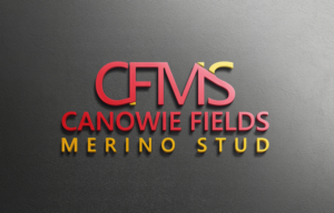 Logo Design by Top king  designer for this project | Design: #16087084