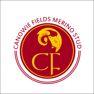 Logo Design by CarlosQ