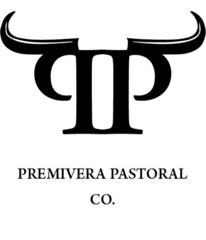 Logo Design by Kendrick Perry for Spartus Bloodstock Pty Ltd | Design #16064628