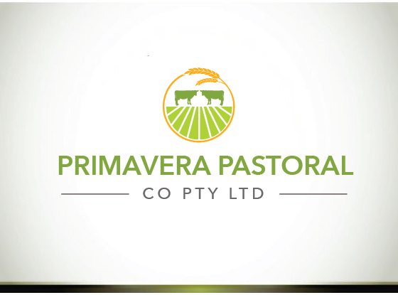 Logo Design by ngahoang1711 for Spartus Bloodstock Pty Ltd | Design #16091083