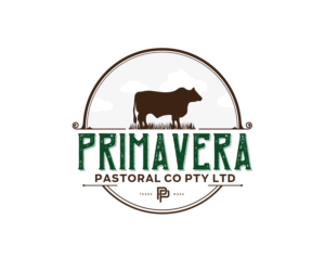 Logo Design by Tiago78