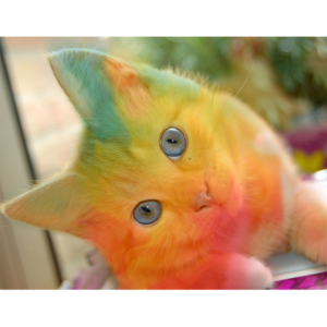 Photoshop Design by jaibysijo