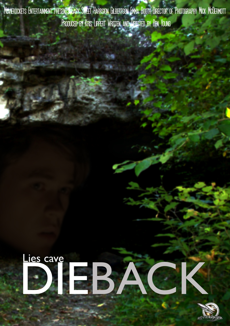 Poster-Design von  SerbanC für dieses Projekt | Design #2659664