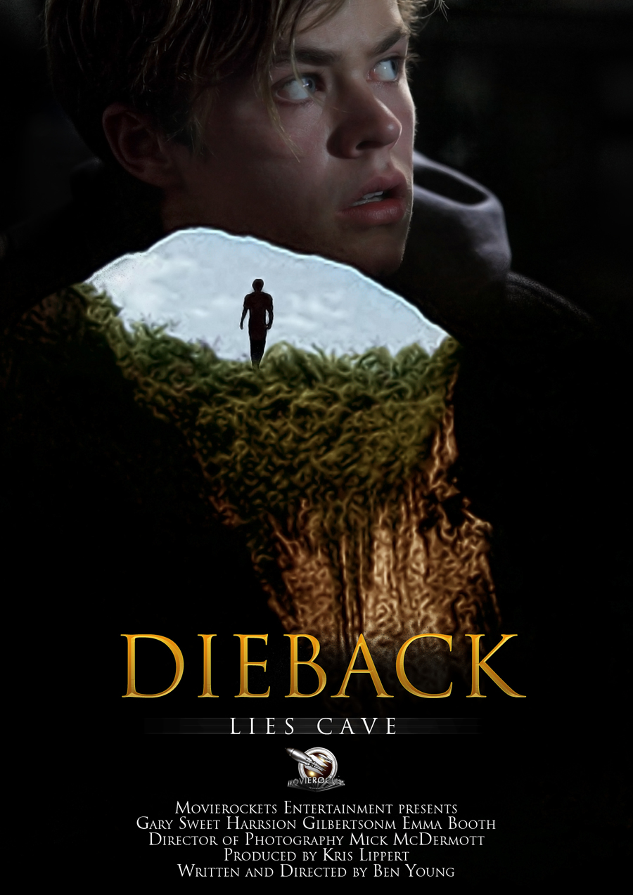 Poster Design by Vanes7 for this project | Design #2658471