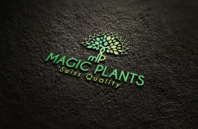 Logo Design by Sherpa design for pb agency by P. Buchli | Design #16069877