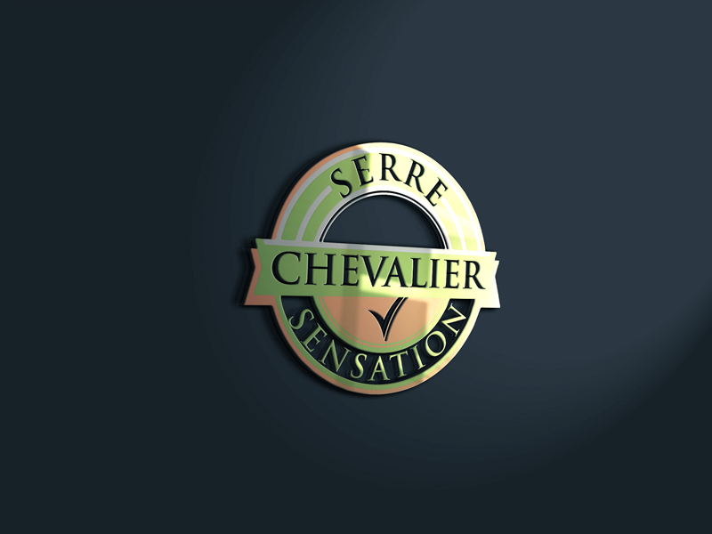Logo Design by imshohaghossain85 for this project | Design #16085555