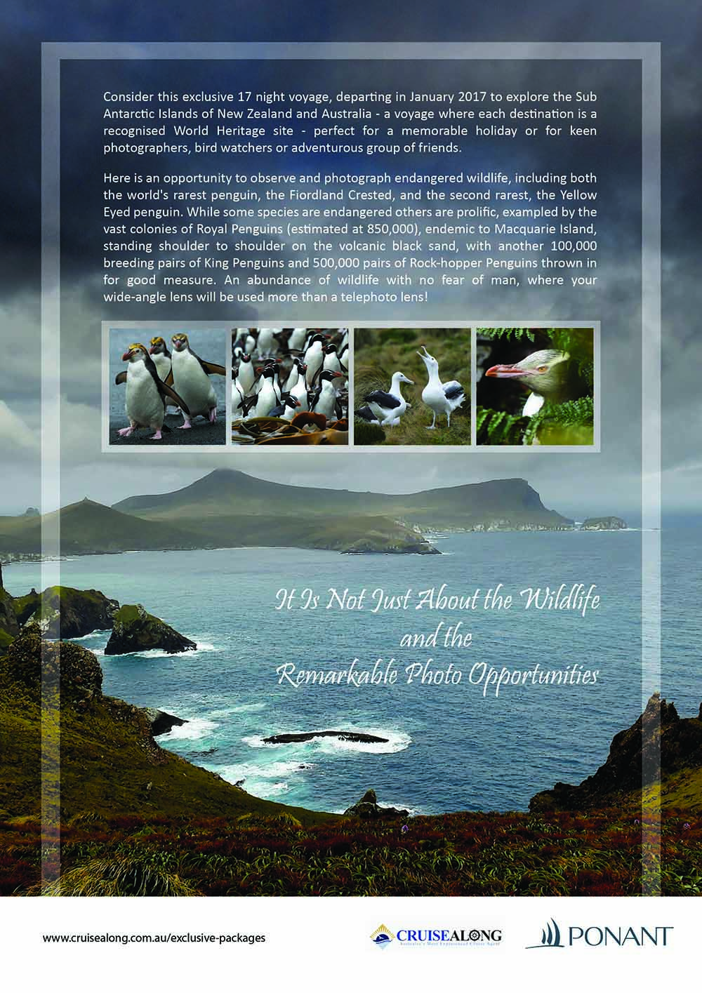 Design de Flyer par kinaka.honey pour CruiseAlong Pty Ltd | Design #16112748