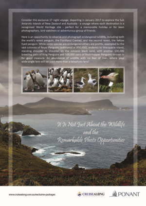 Flyer Design by kinaka.honey for CruiseAlong Pty Ltd | Design: #16112748