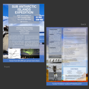 Flyer Design by elveneclipse for CruiseAlong Pty Ltd | Design #16101548