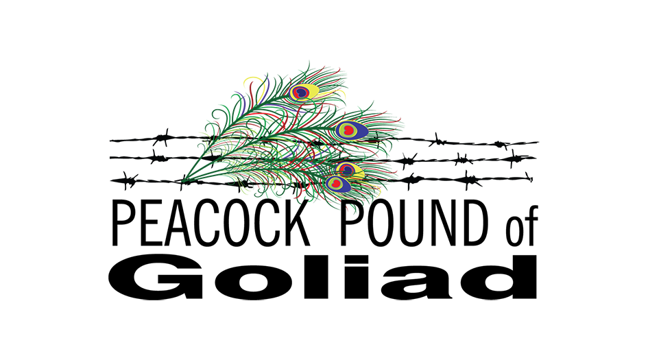 Logo Design by Florin for this project | Design #2630493