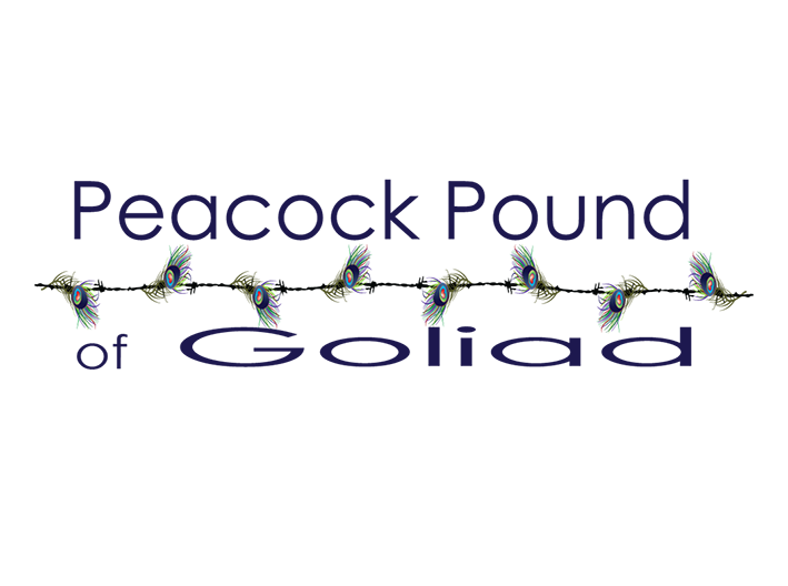 Logo Design by Florin for this project | Design #2654303