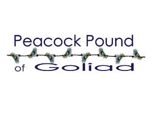 Logo Design by Florin for this project | Design: #2654303