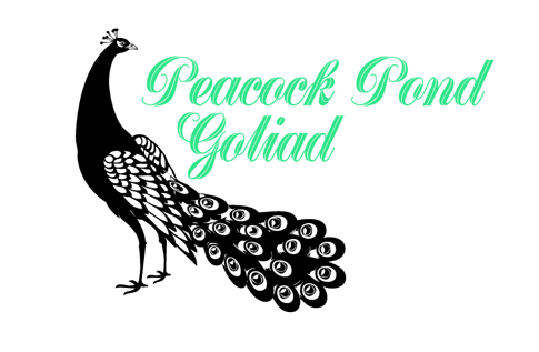 Logo Design by jmsgraphicdesign for this project | Design #2641851