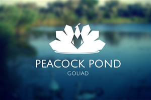 Logo Design by Diana Katarzyna Wieczorek 