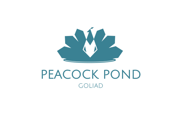 Logo Design by Diana Katarzyna Wieczorek  for this project | Design #2639161