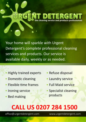 Flyer Design by Annie Creative Service for this project | Design #16079205