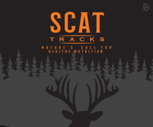 Logo Design by D_Mantra for this project | Design: #16082721