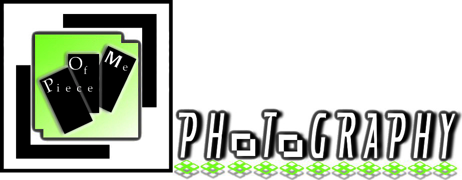 Logo Design by cjearl for this project | Design #620595