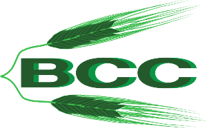 Logo Design by DesignAH